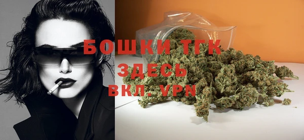 шишки Надым