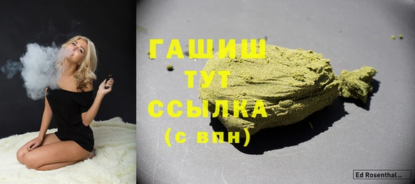 шишки Надым