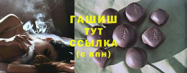 шишки Надым
