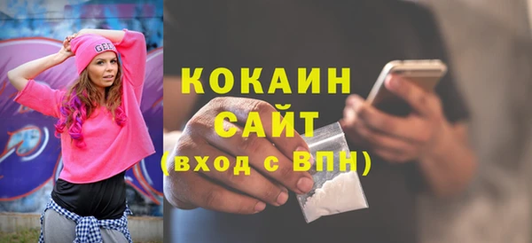 шишки Надым