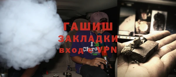 шишки Надым