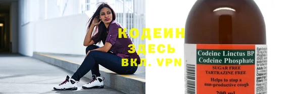 шишки Надым