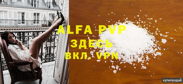 шишки Надым