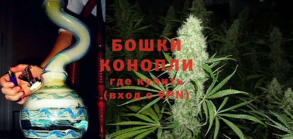 шишки Надым