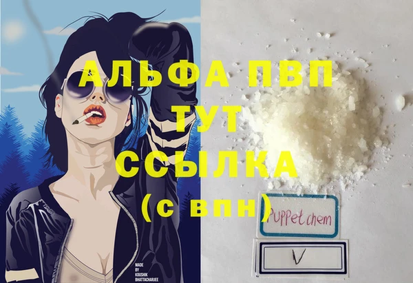 шишки Надым