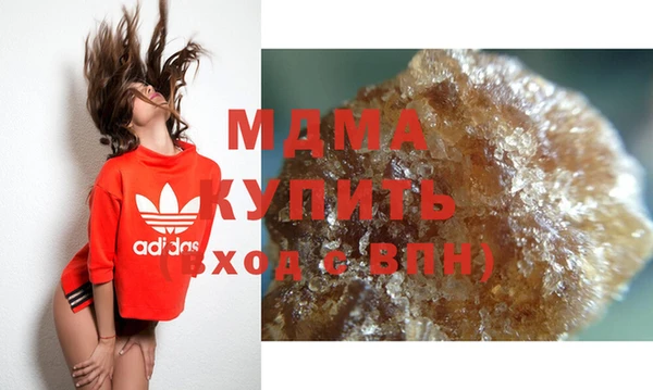 шишки Надым