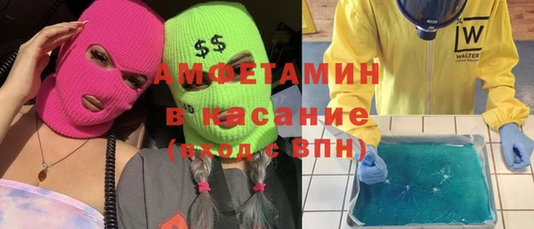 шишки Надым