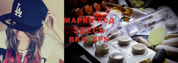 шишки Надым