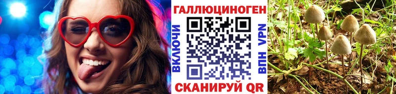 Галлюциногенные грибы MAGIC MUSHROOMS KRAKEN маркетплейс Сковородино